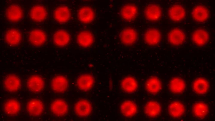 Four 4x4 arrays of radiosynthesis reactions.