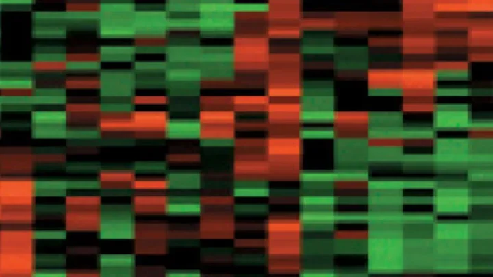 A heat map with rectangular blocks in shades of green, red, and black, arranged in rows and columns. 