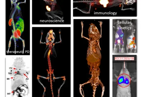 Examples of multimodality in vivo imaging capabilities and applications at the Imaging Center.