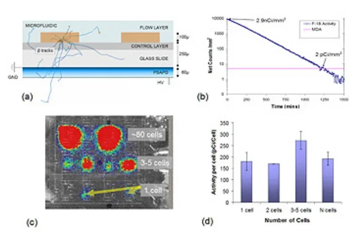 A composite scientific figure with four panels labeled (a) through (d).