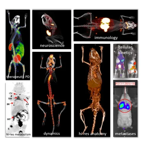 Examples of multimodality in vivo imaging capabilities and applications at the Imaging Center.